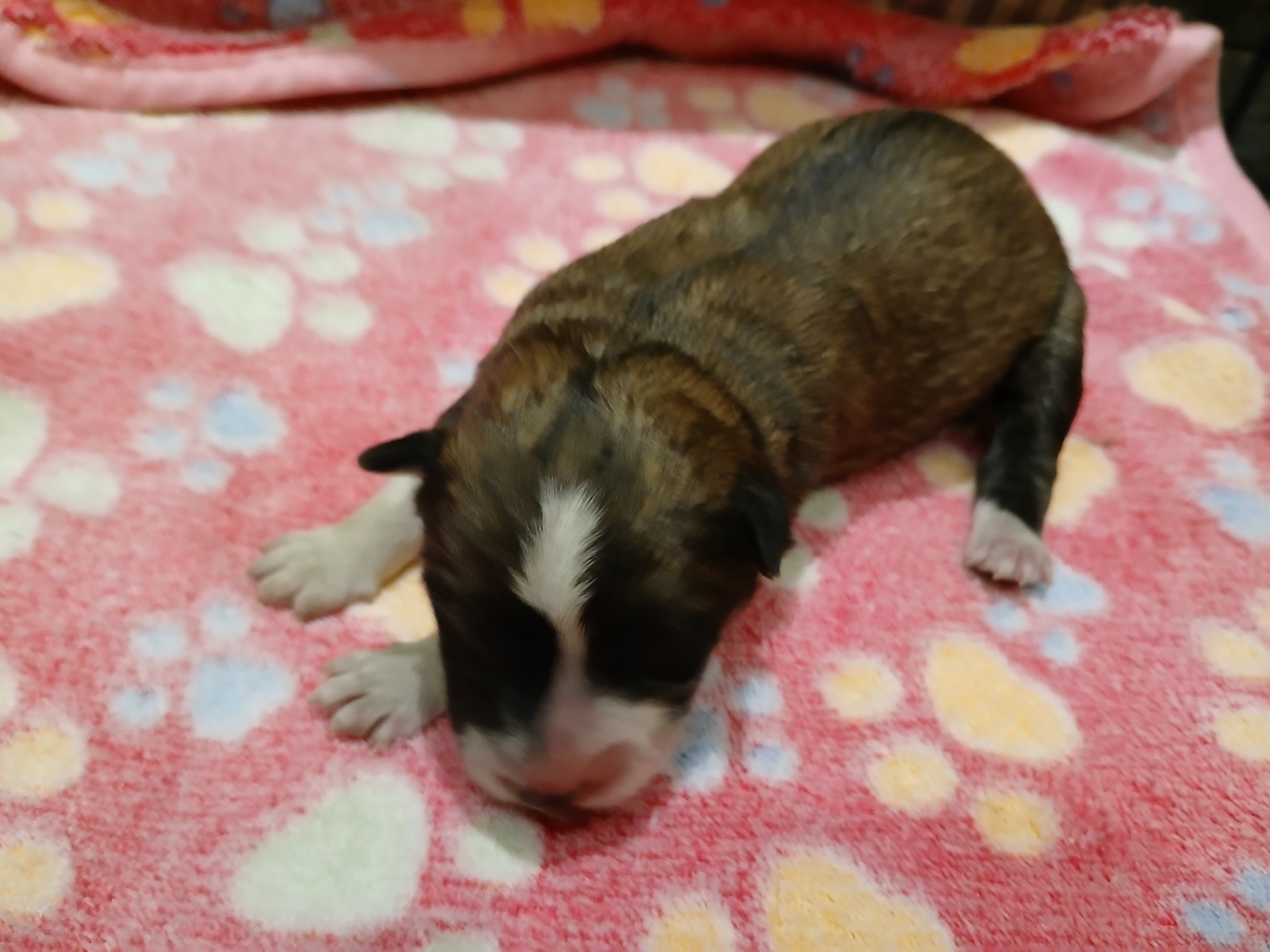 Eloise von Semper Fi