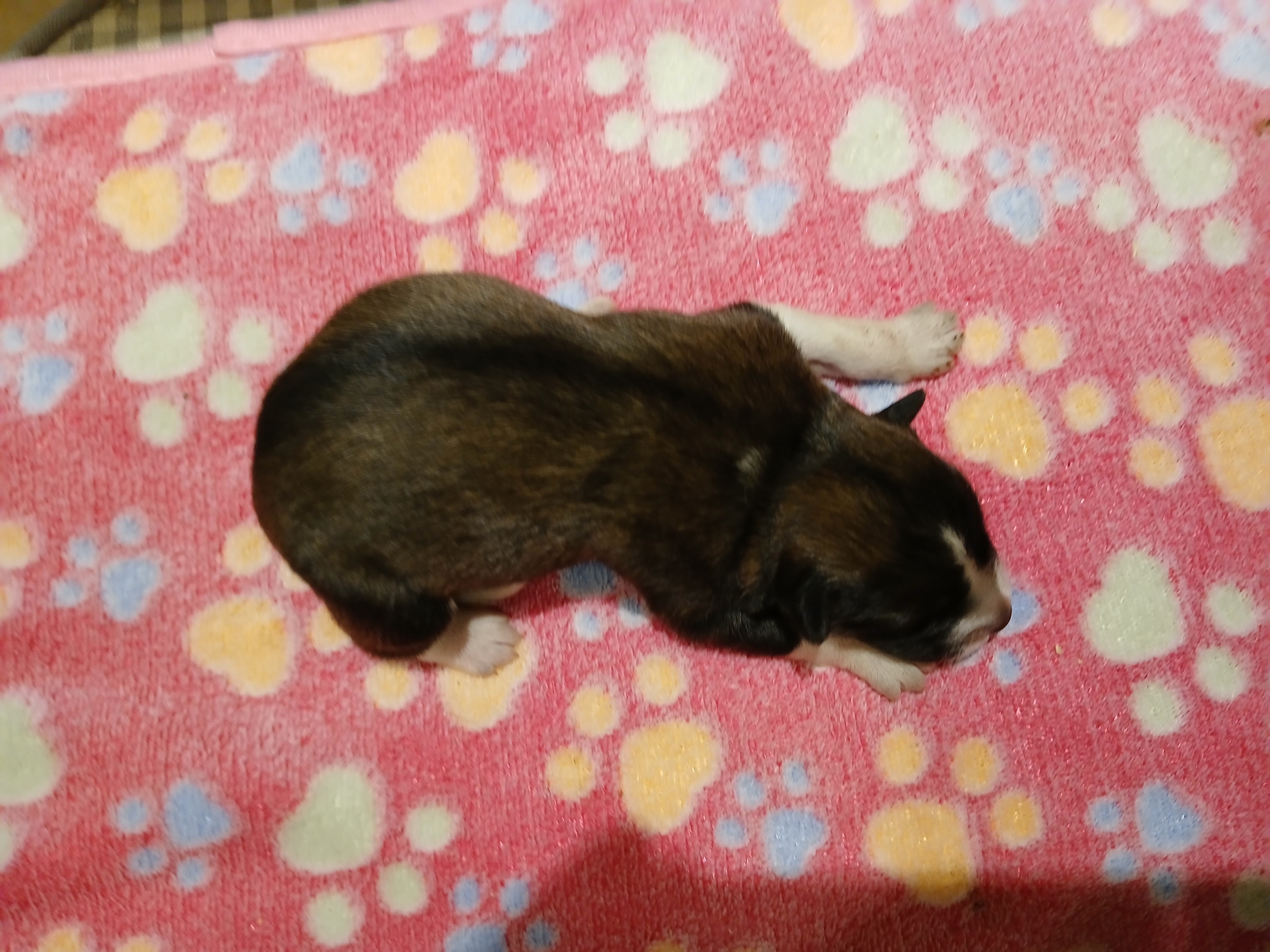 Weiteres Bild von Emory